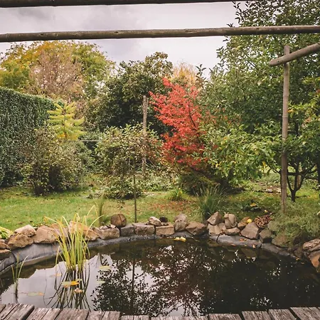 Pannonia Holiday home