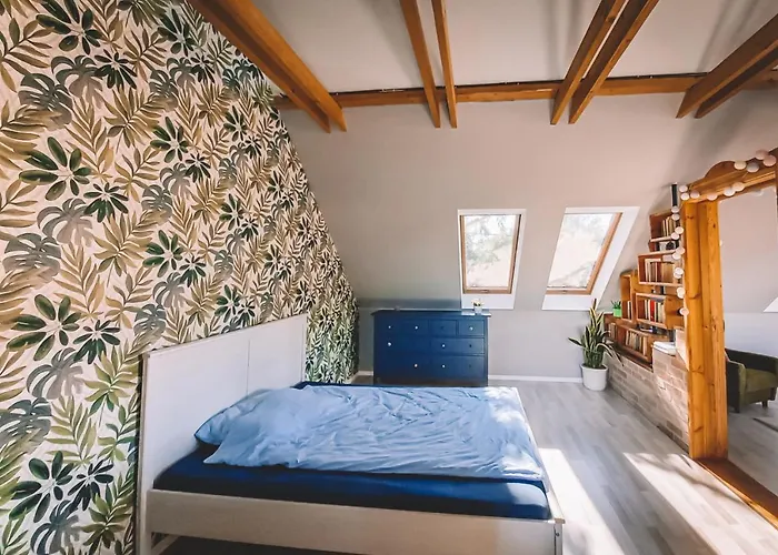 Pannonia Holiday home God